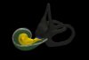 Cochlea.JPG