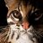 ocelot0411